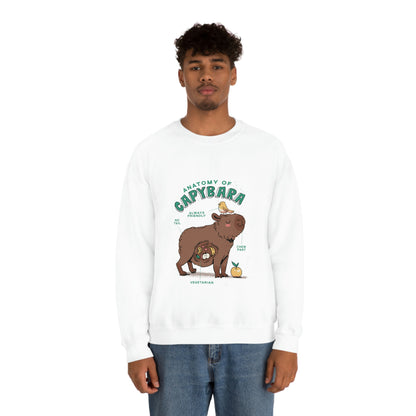 Capybara Anatomy - Unisex Sweatshirt