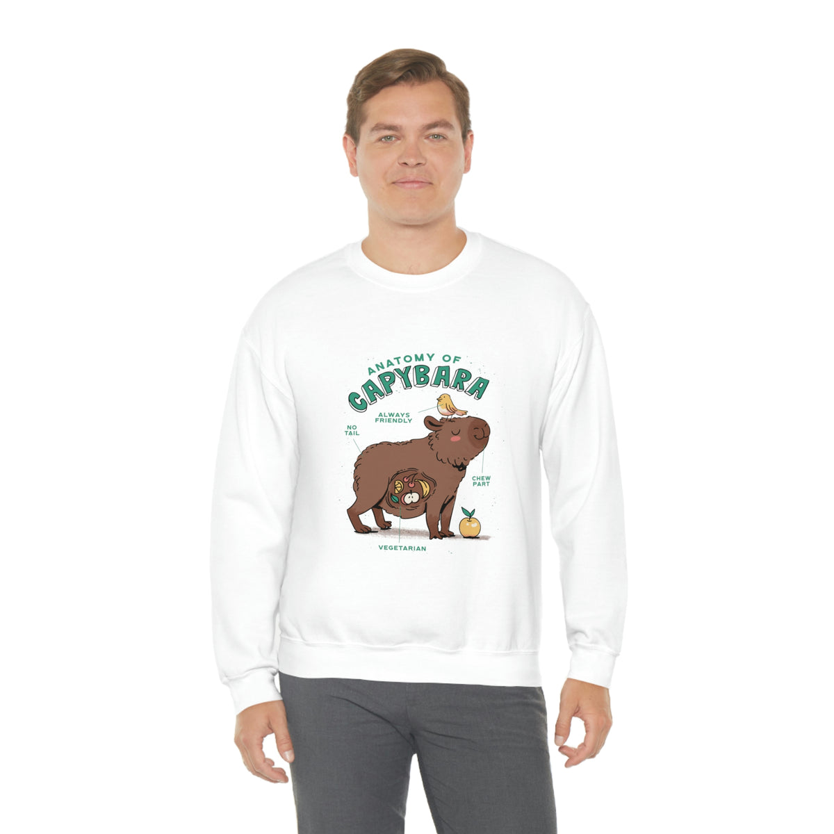Capybara Anatomy - Unisex Sweatshirt