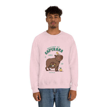 Capybara Anatomy - Unisex Sweatshirt