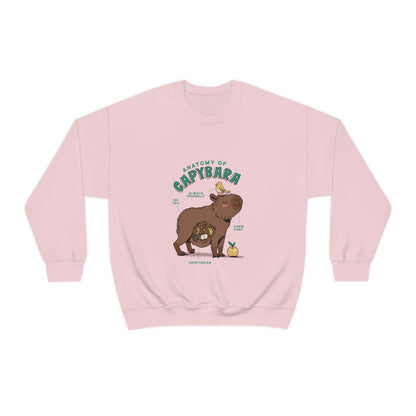 Capybara Anatomy - Unisex Sweatshirt