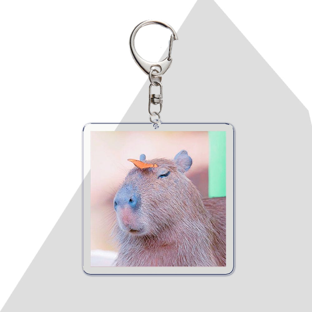 Capybara New Water Dolphin Keychain Cute Cartoon Car Key Ring Animal Key  Accessories Pendant Capybara Keychain Acrylic 1pc