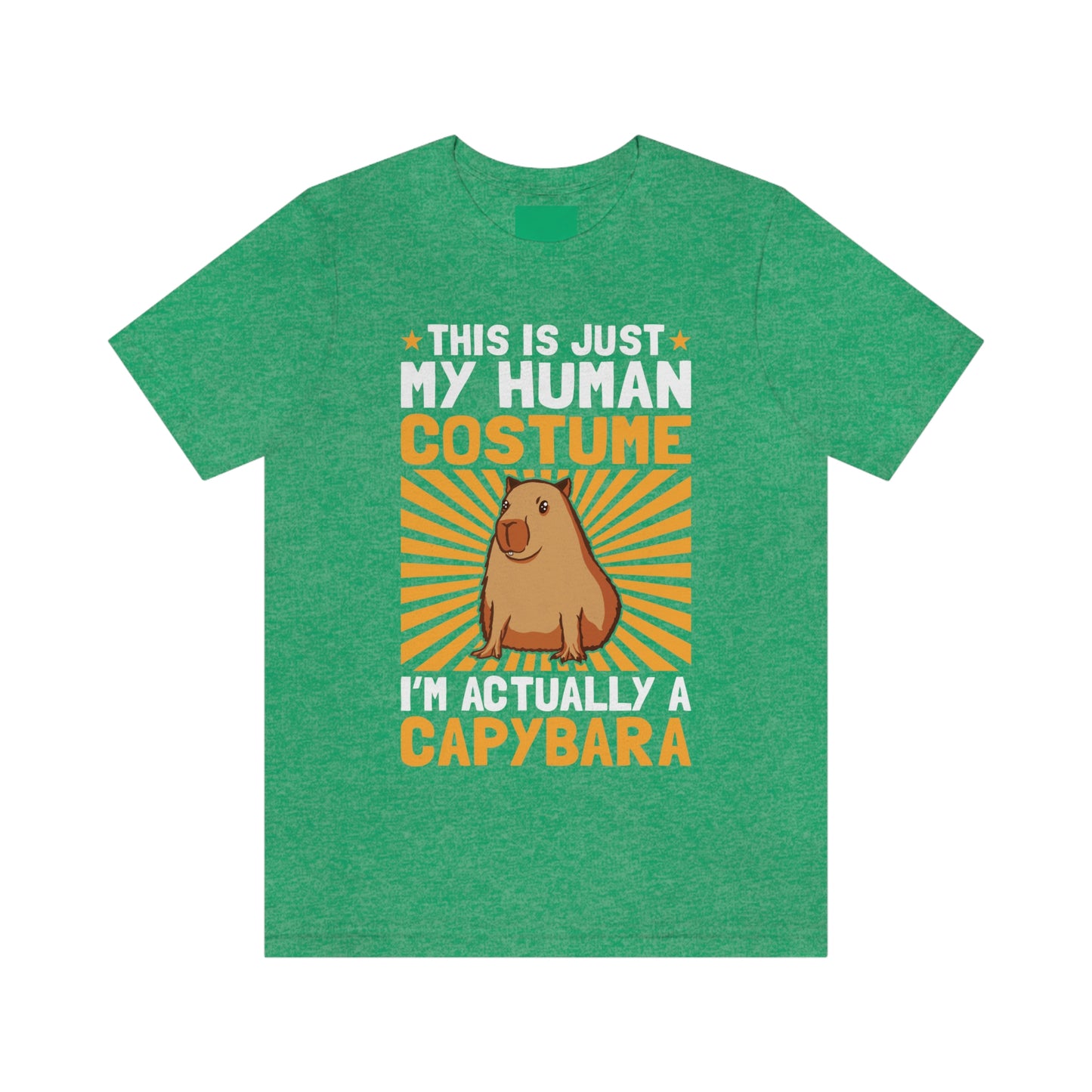 This is my human costume - Premium Unisex Tee