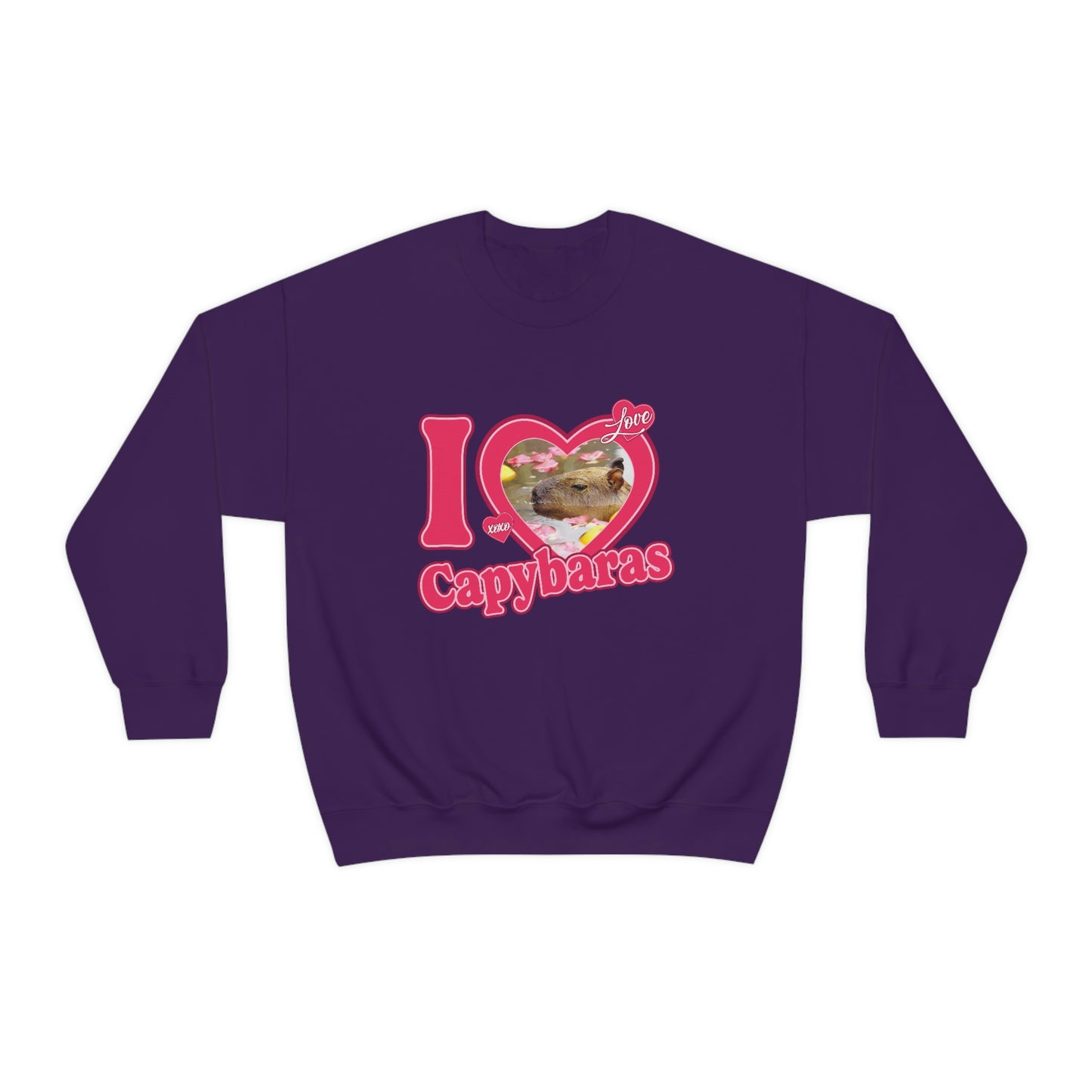 I love Capybaras - Unisex Sweatshirt