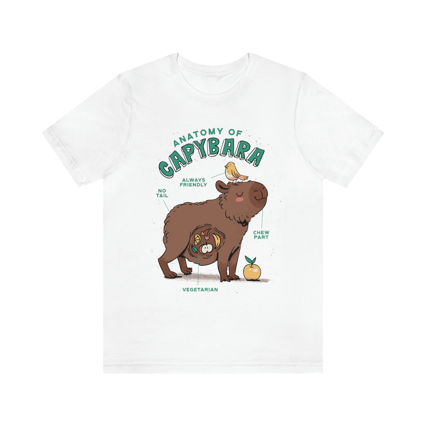 Capybara Anatomy - Premium Unisex Tee